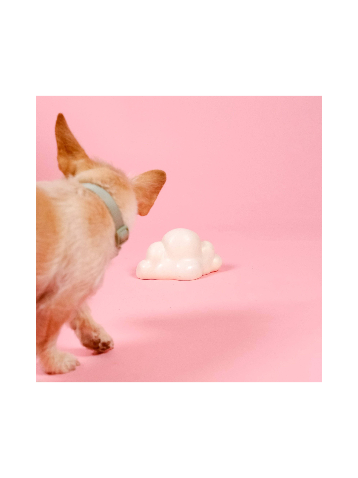 Cloud Shaped Squeaky Dog Toy