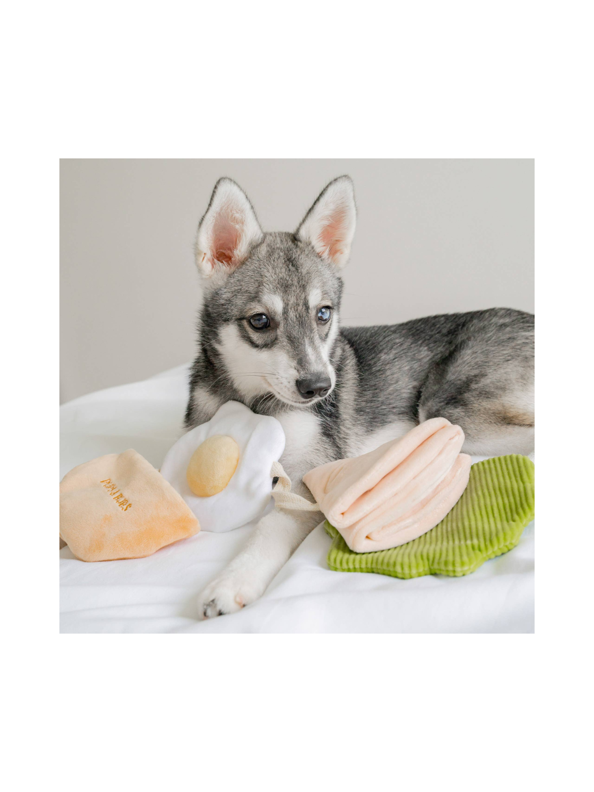 Pita Pocket Nosework Toy