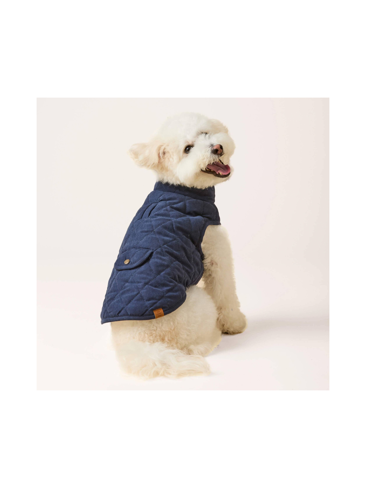 Navy Sherpa-Lined Reversible Dog Jacket
