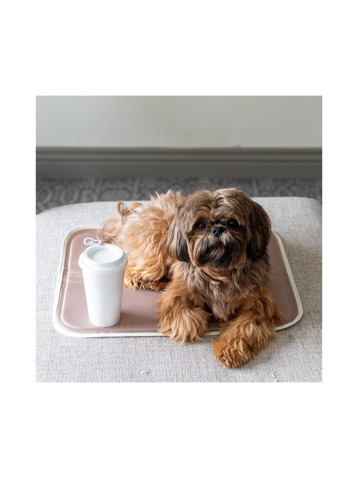 Cool Pet Pad with Cover