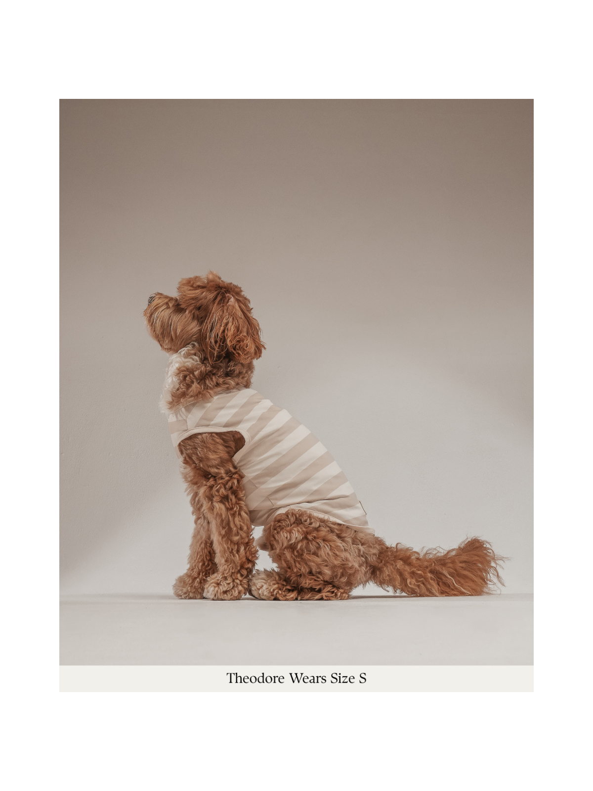 Summer Breeze Cooling Vest – Hazelnut Stripe