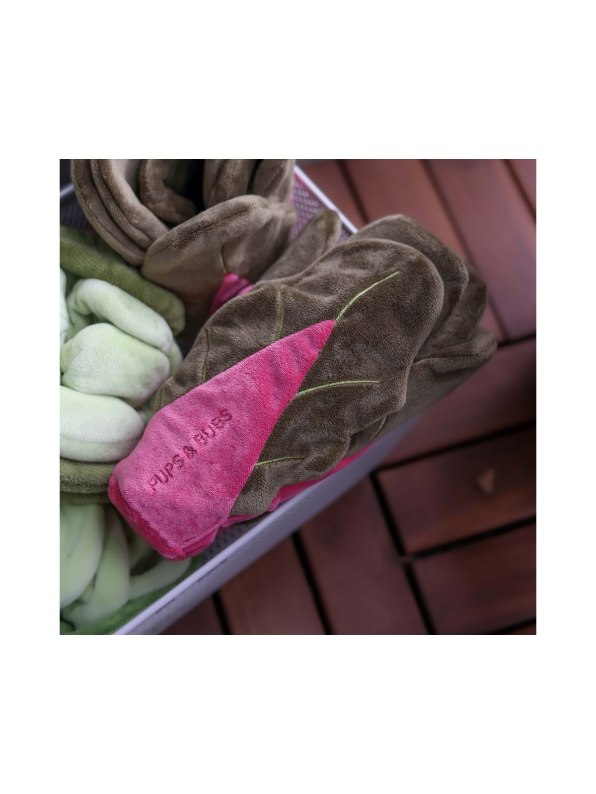 Snuffle Swiss Chard