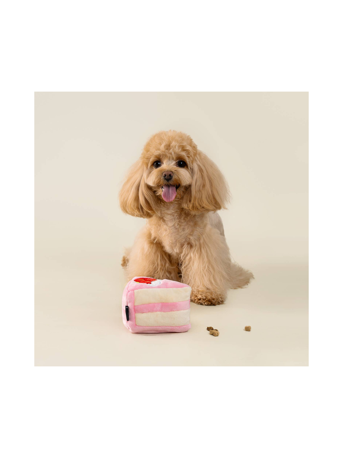 Strawberry Birthday Cake Puzzle Toy