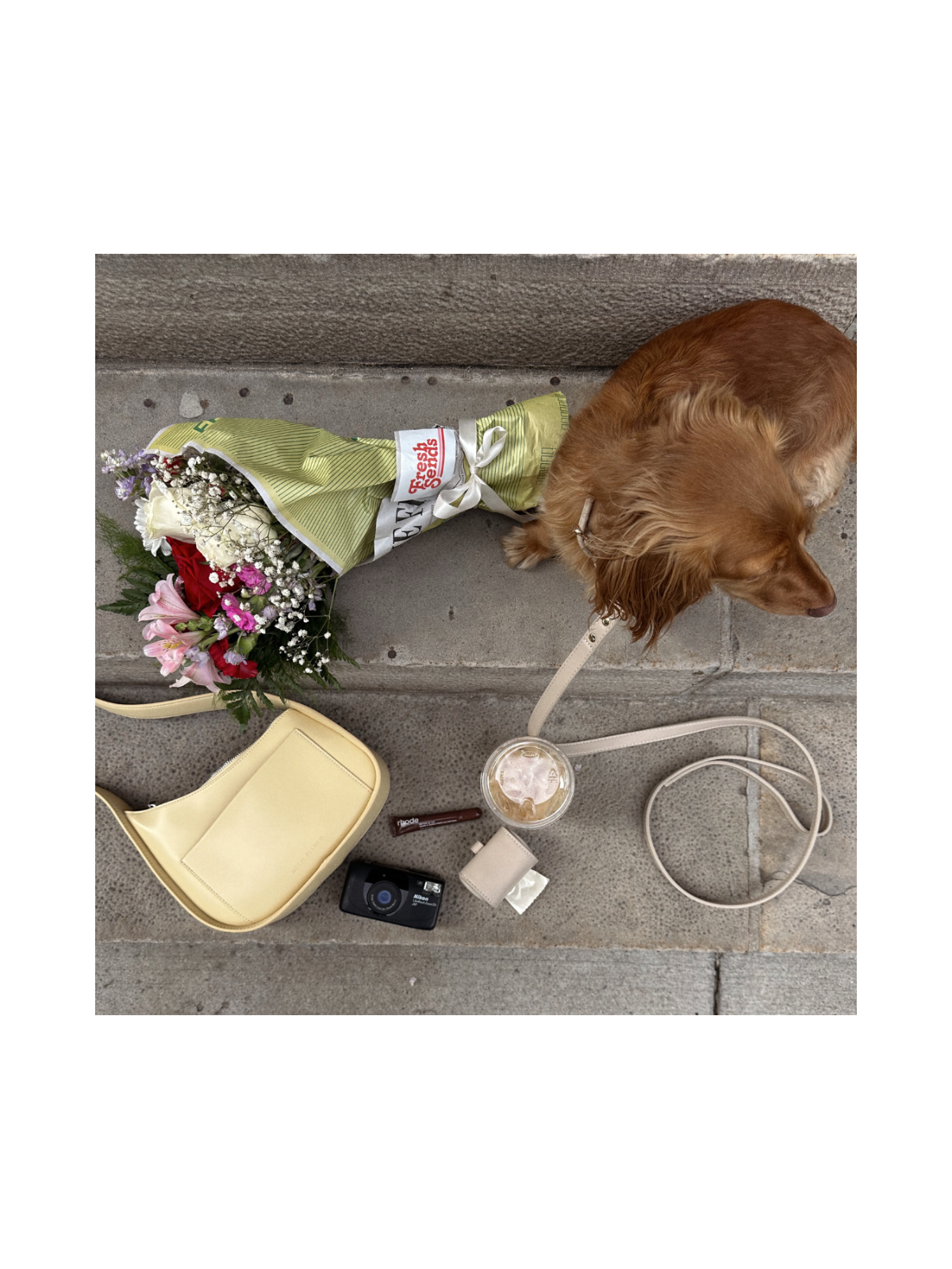 Leash – Cream