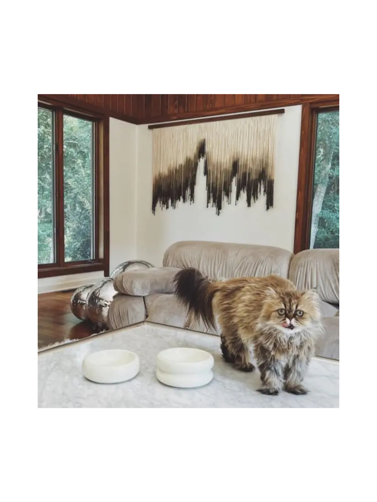 Elevated Halo Pet Bowl