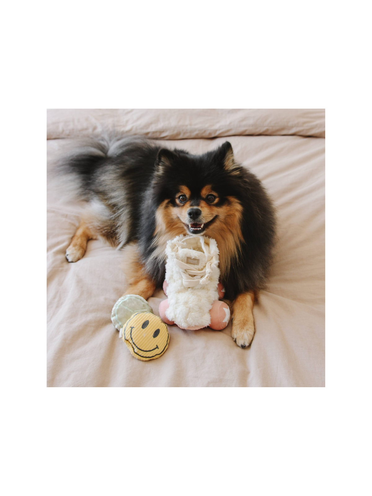 Roller Skate Snuffle Toy