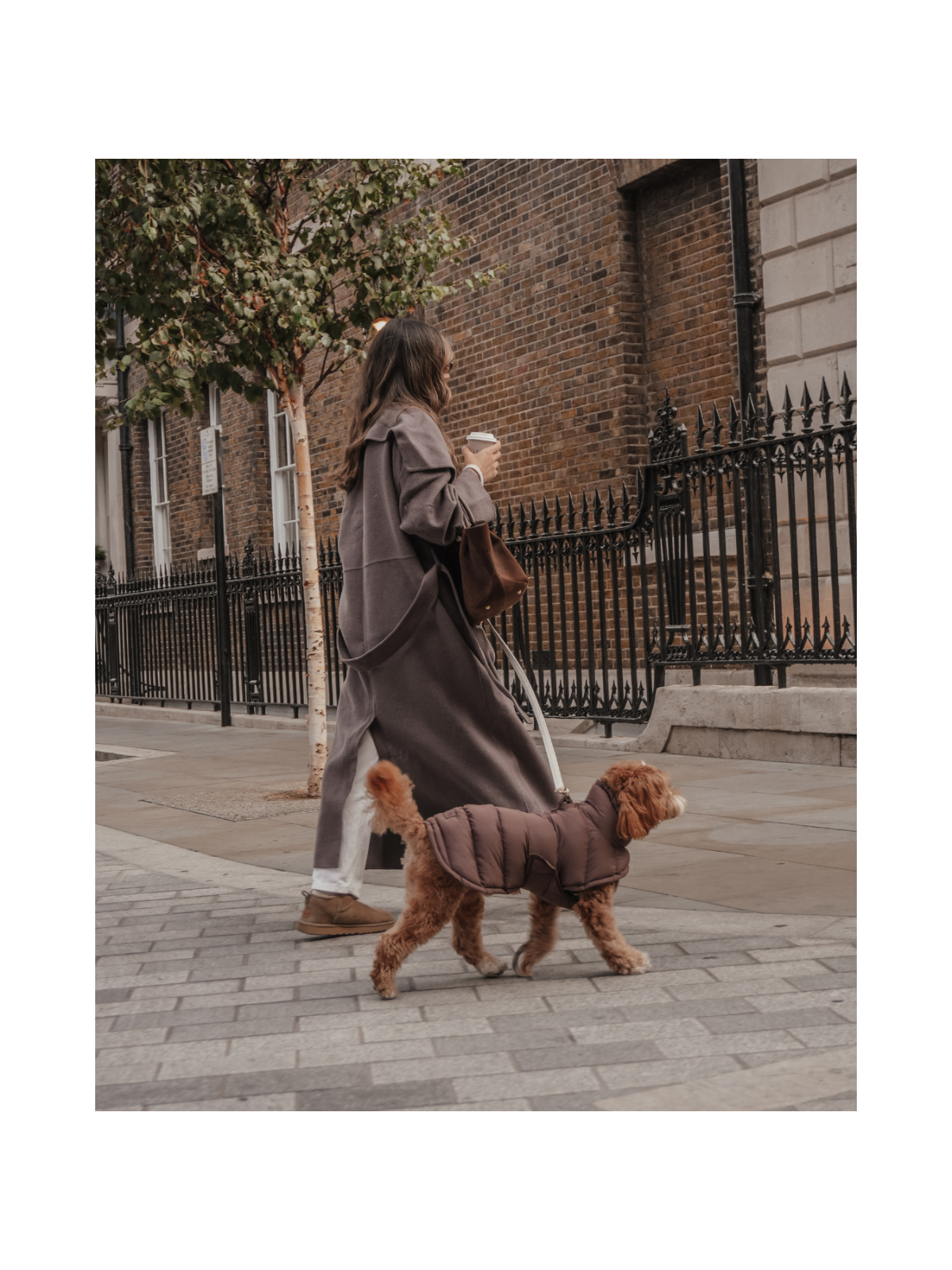 The Capsule Puffer Dog Coat – Chocolate