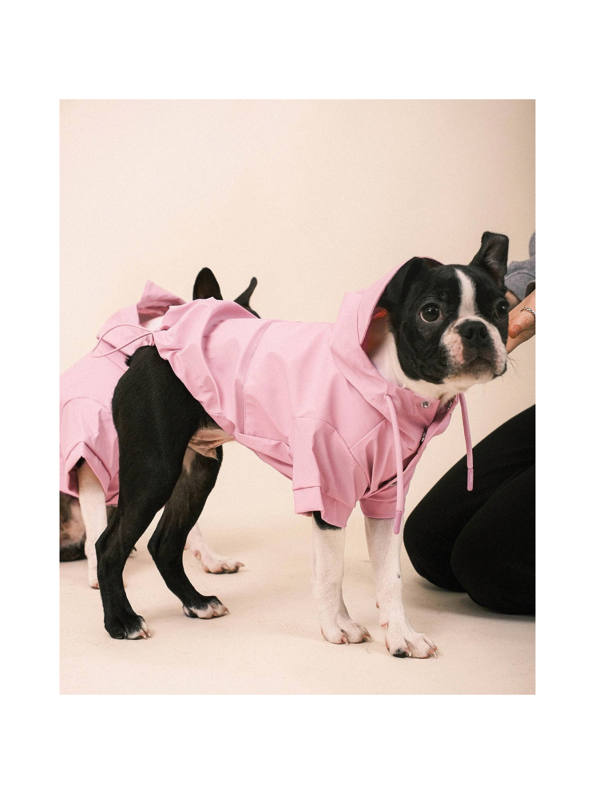 Pink Dog Raincoat