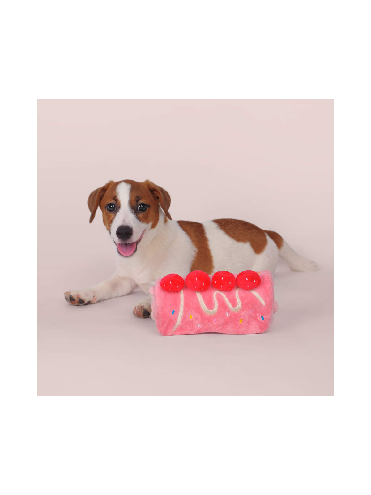 Strawberry Roll Cake Dog Puzzle Toy