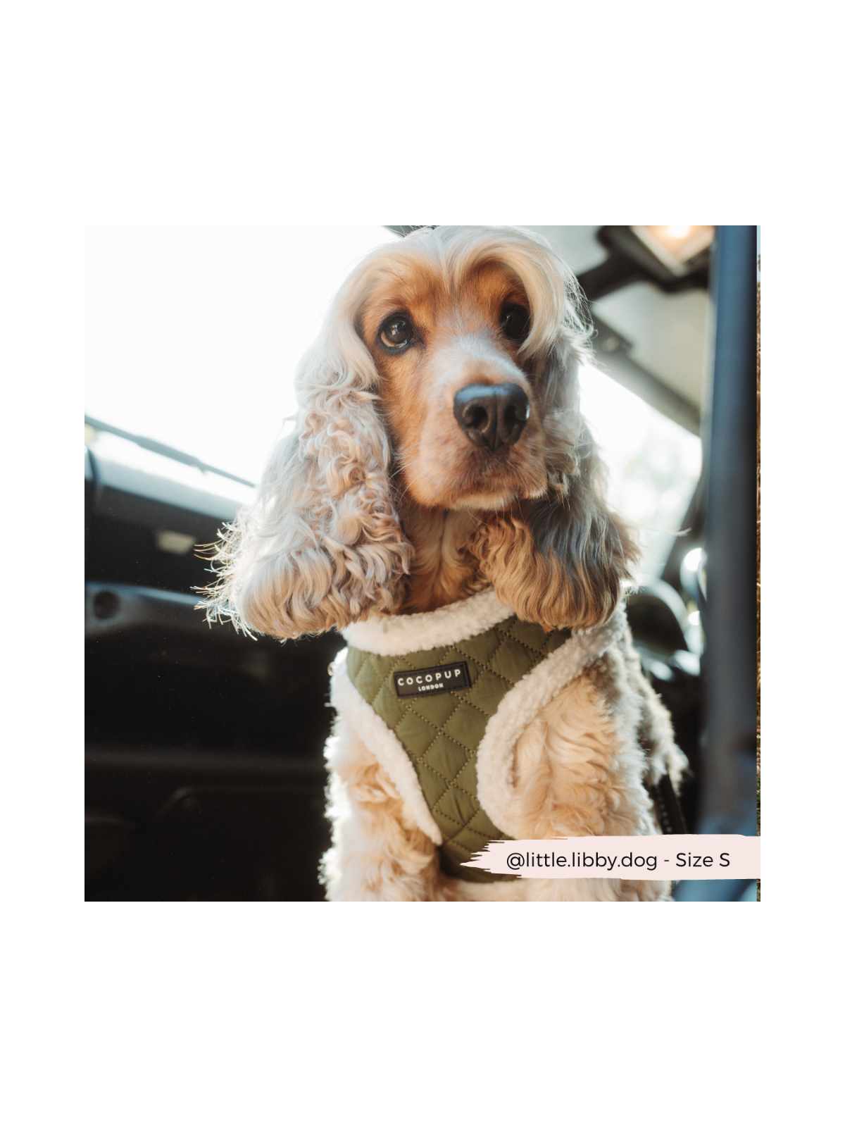 Quilted Adjustable Neck Harness – Khaki