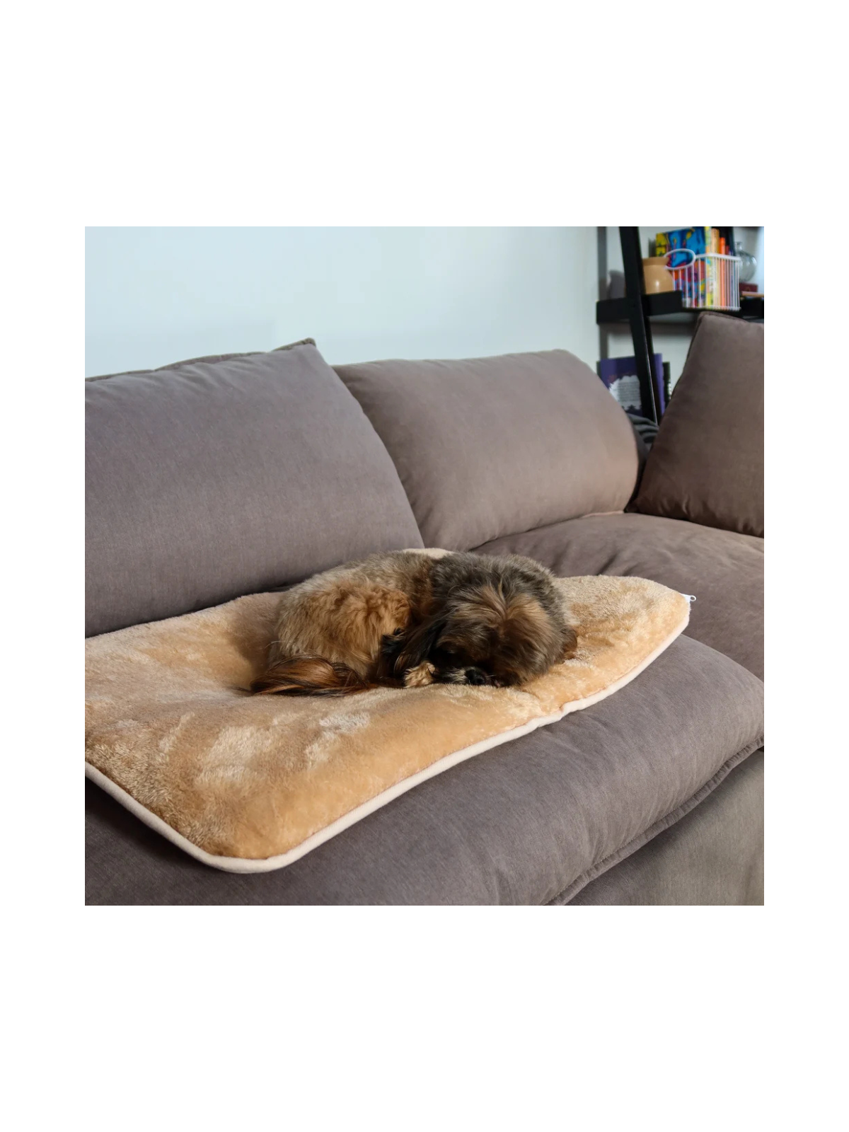 Crazy Warm Pet Pad