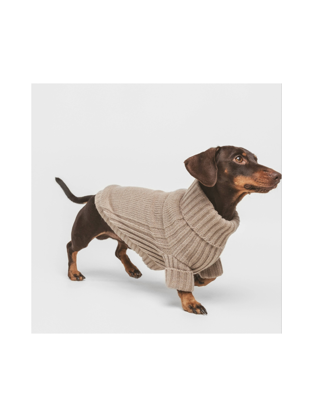 Pantone Sweater – Sand