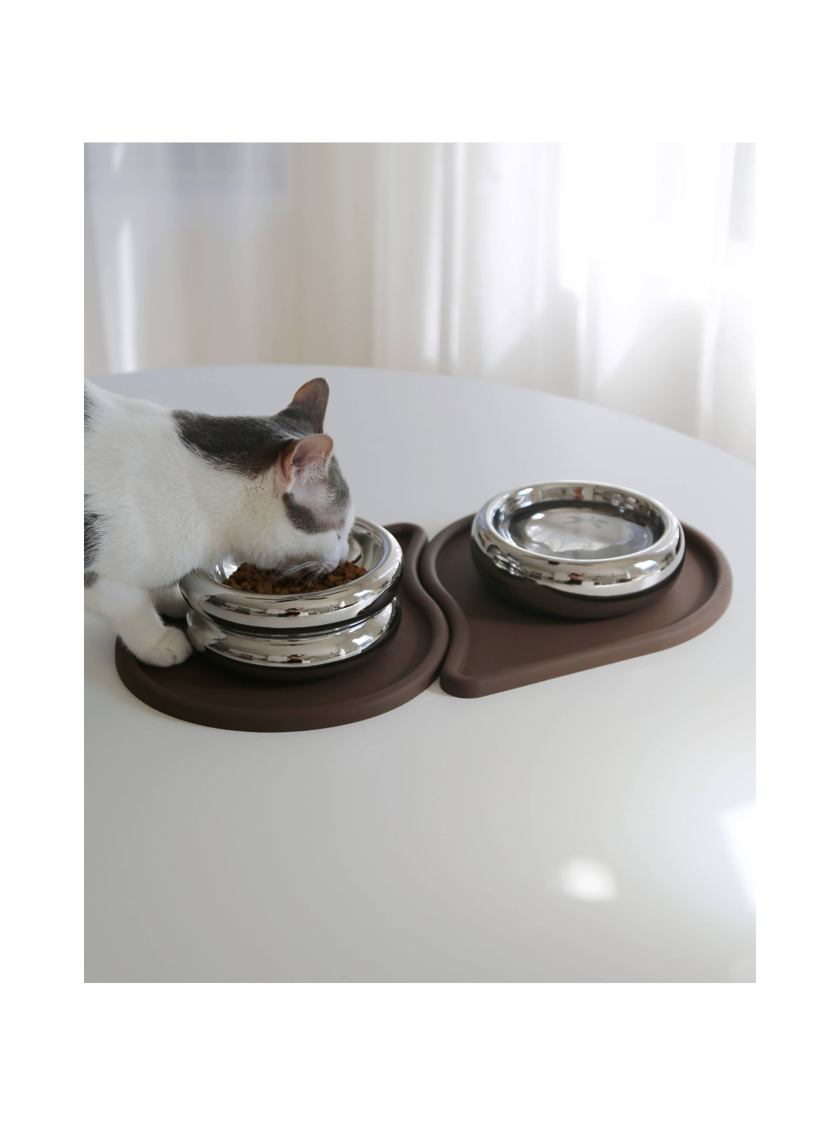 Chrome Halo Pet Bowl