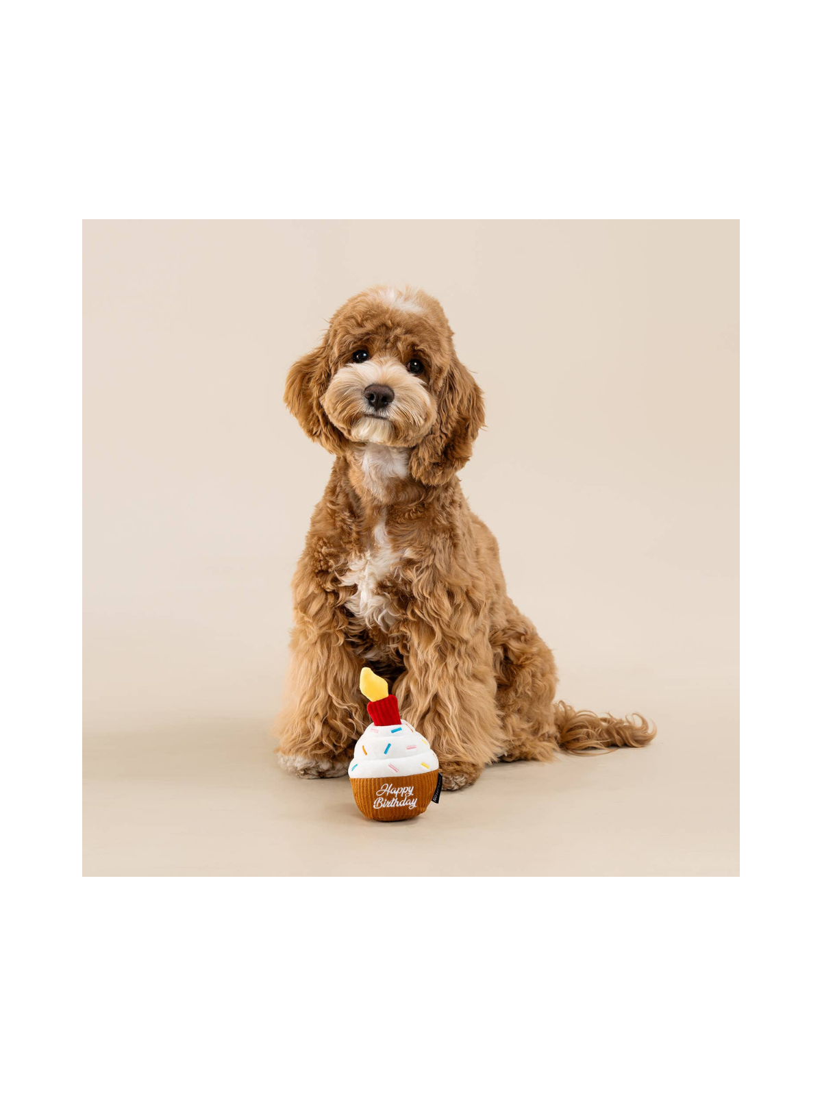 Cupcake Interactive Birthday Toy