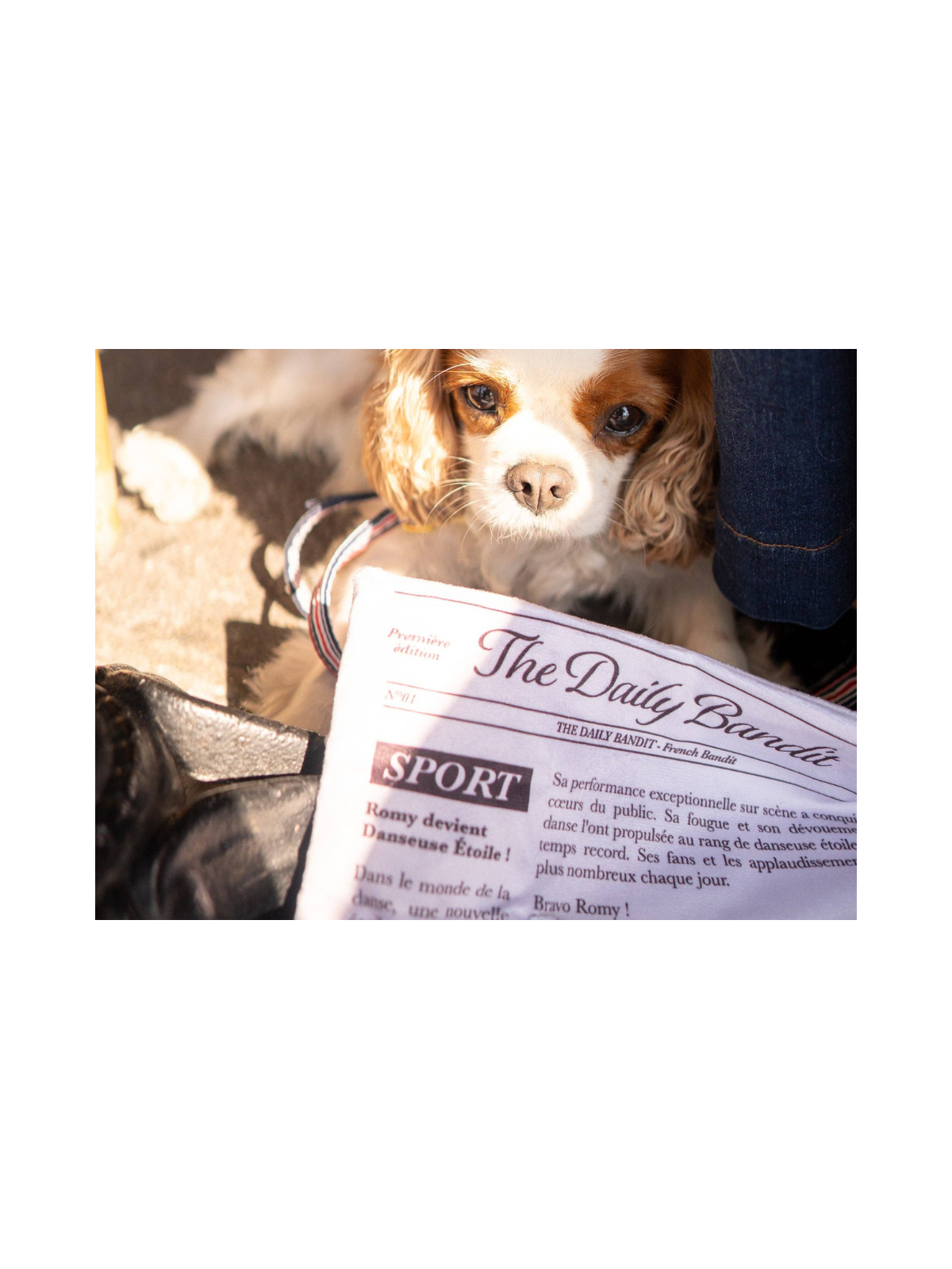 Newspaper Snuffle Toy