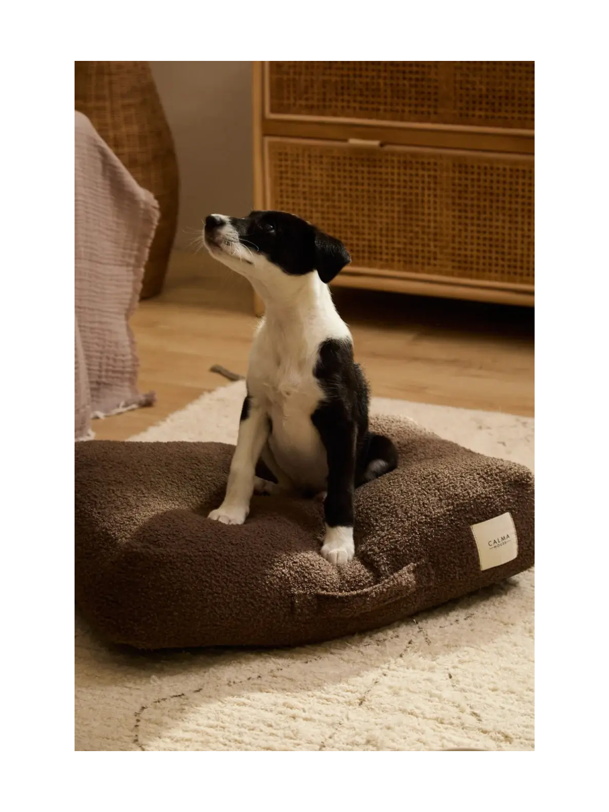 Taico Teddy Dog Cushion – Brown