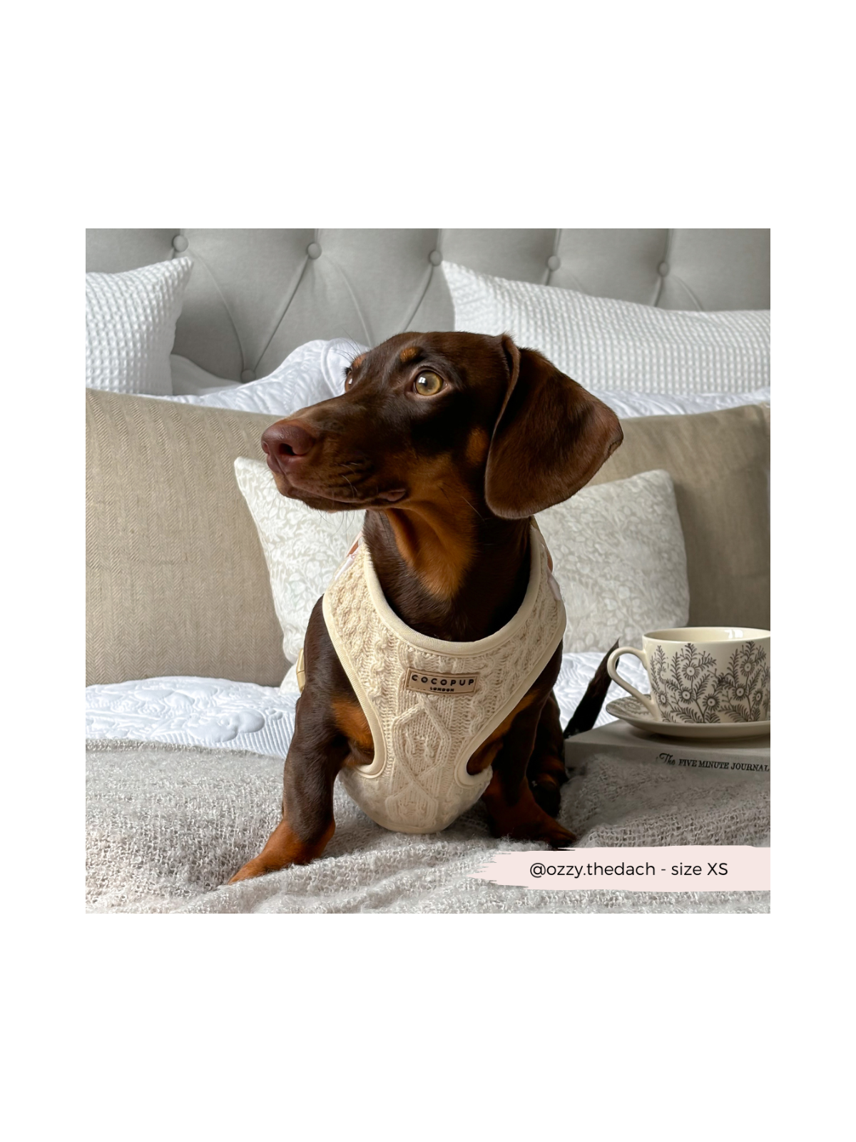 Cable Knit Jumper Adjustable Neck Harness - Vanilla White