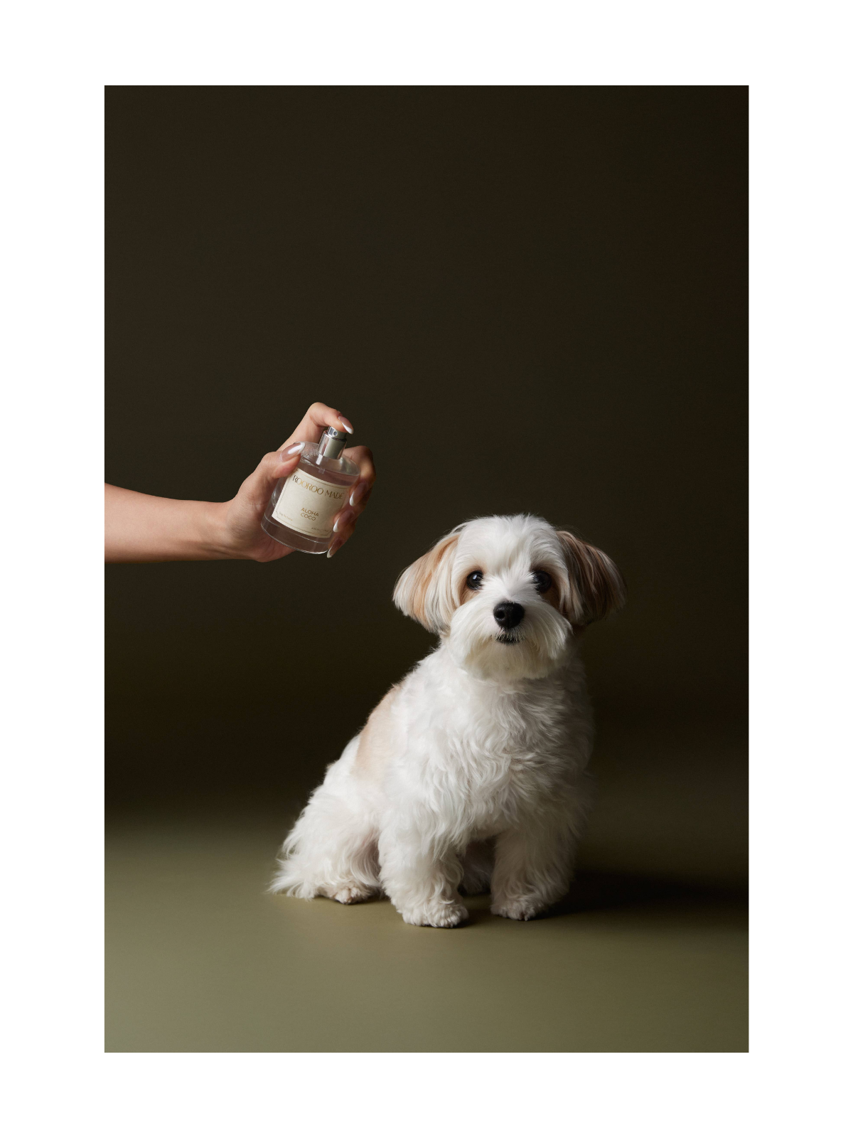 Dog Perfume – Sunday Garden