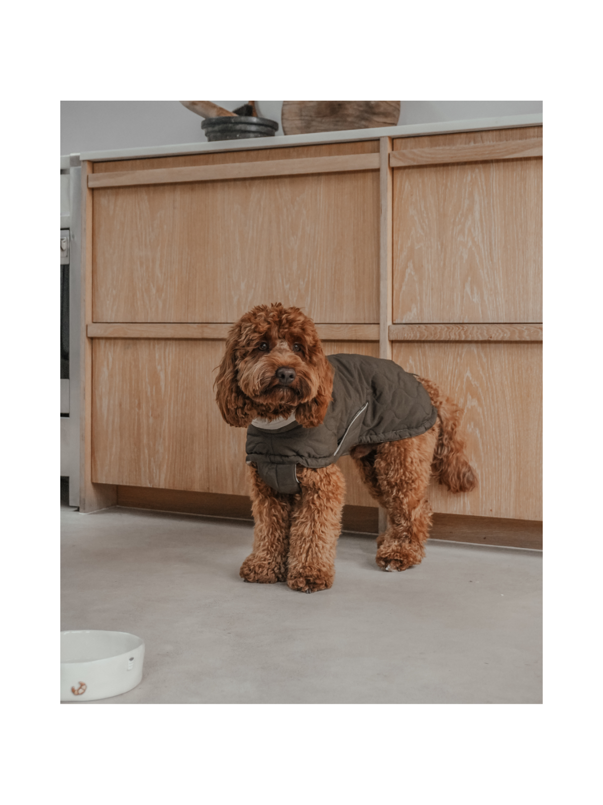 The Capsule Quilted Dog Coat – Forest Green
