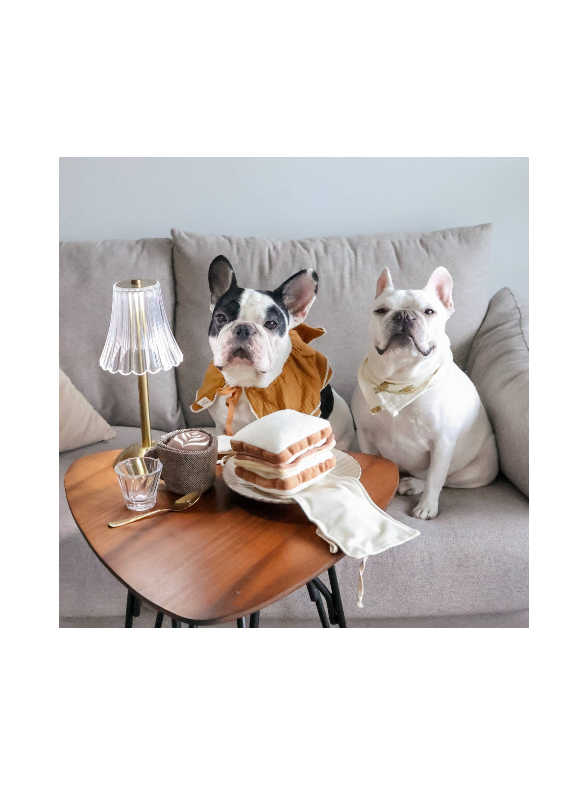 Latte Pop Enrichment Toy