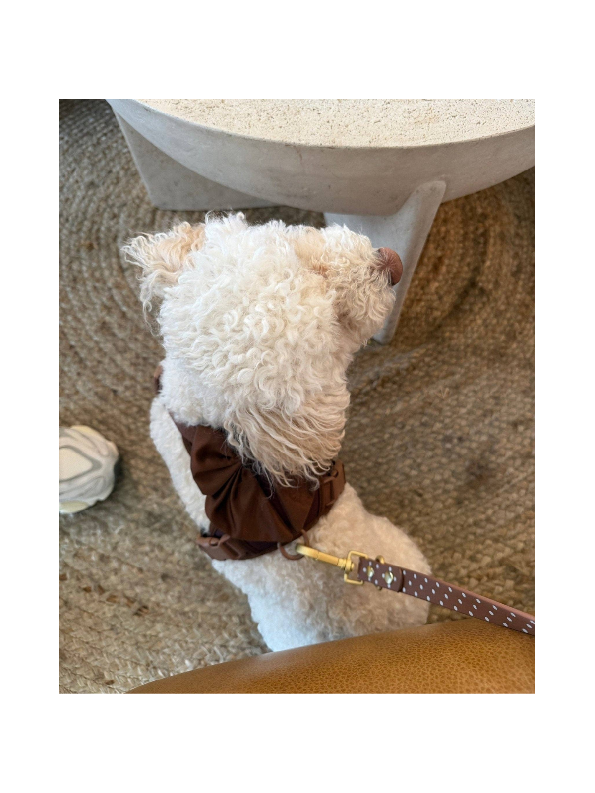 Wander! Bow Harness 2.0 – Cocoa