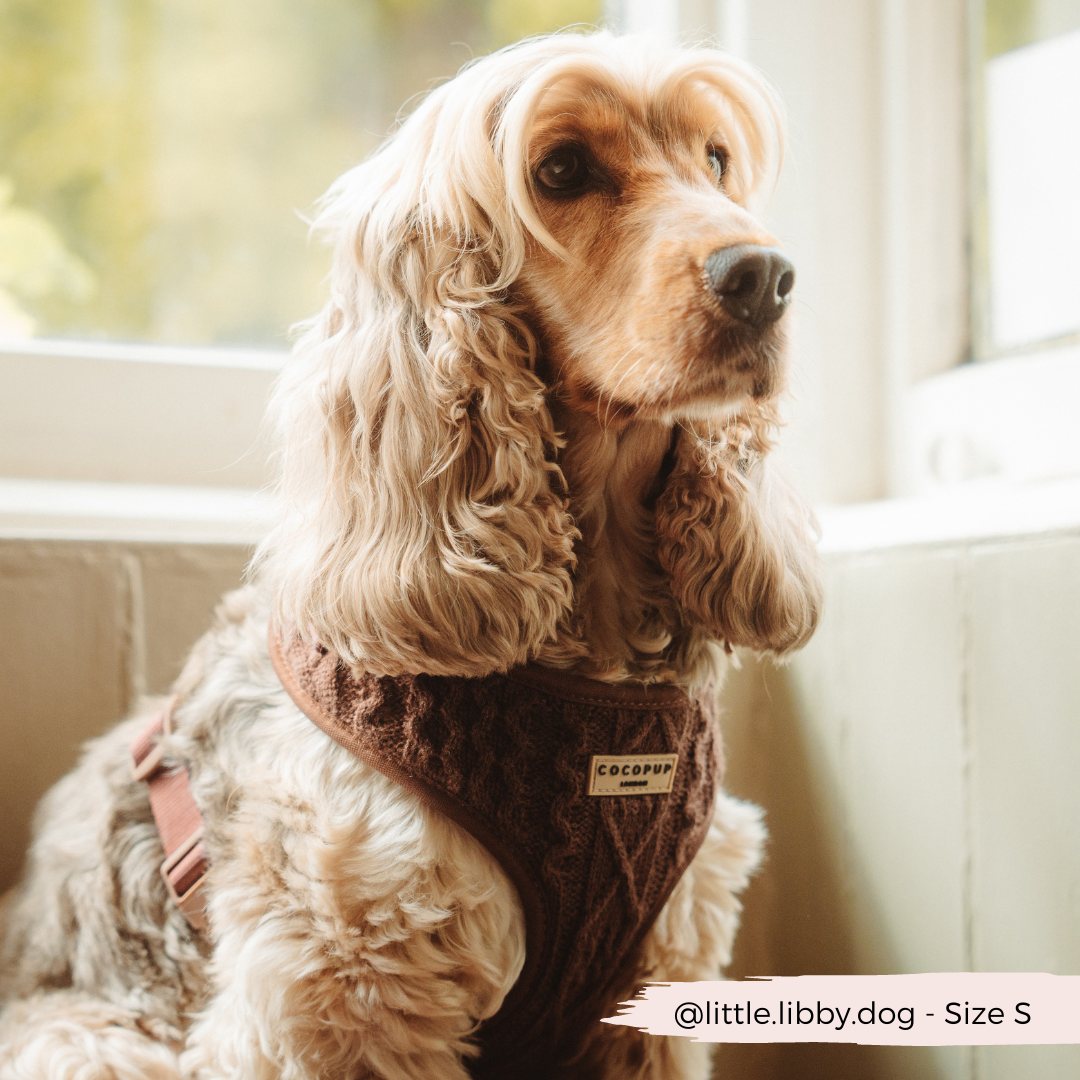 Cable Knit Jumper Adjustable Neck Harness - Hot Coco Brown