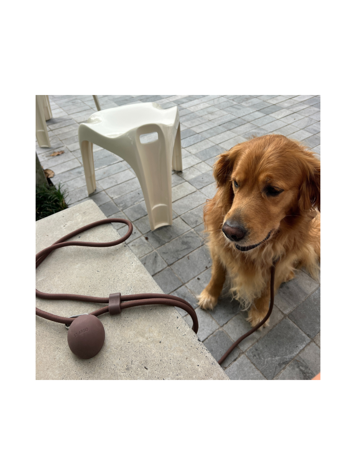Treat Pouch – Cocoa