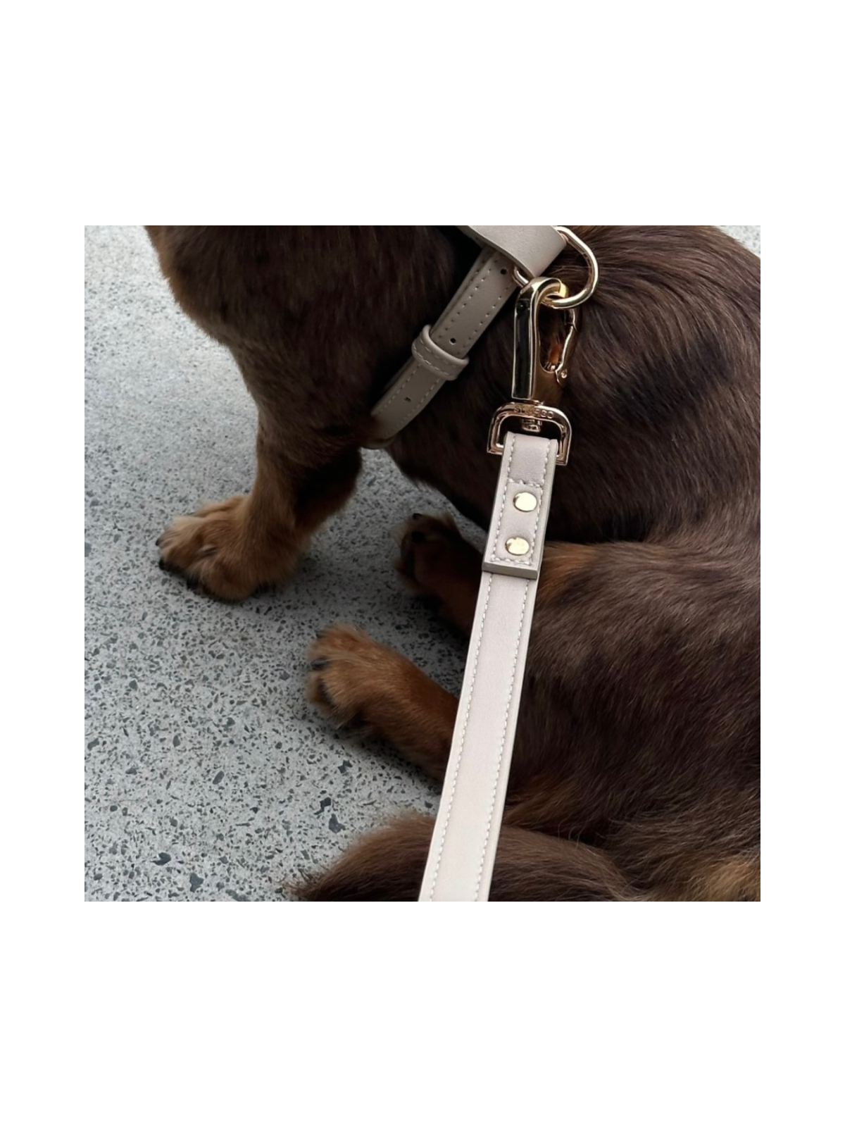 Leash – Cream