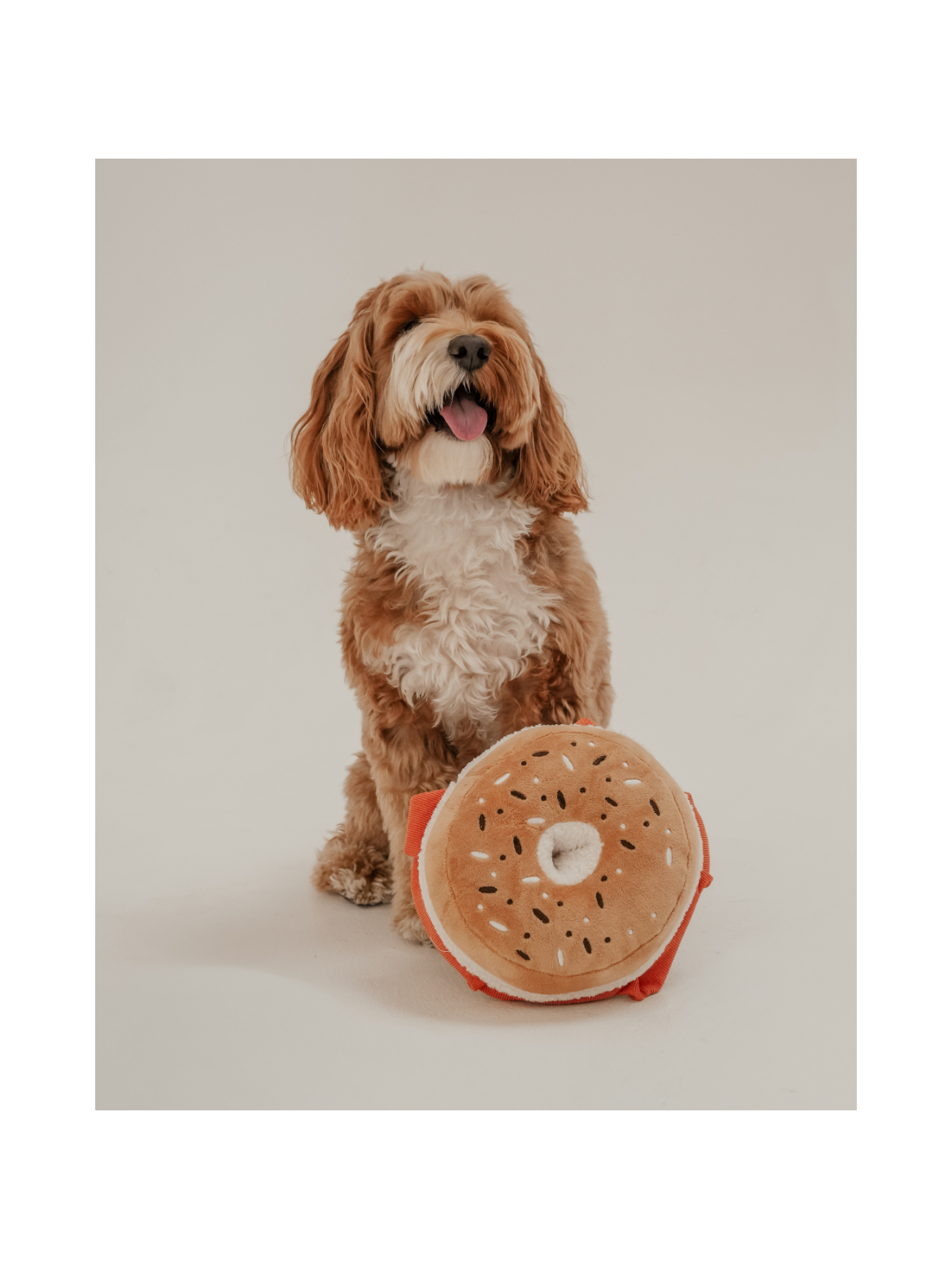 Salmon & Cream Cheese Bagel Interactive Dog Toy