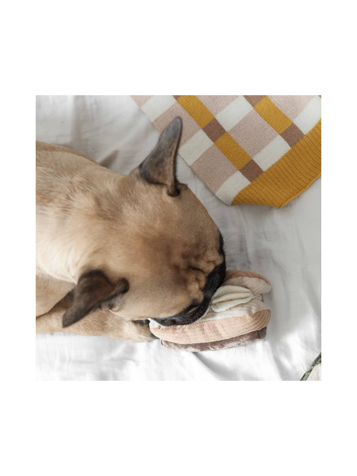 Eclair Enrichment Dog Toy