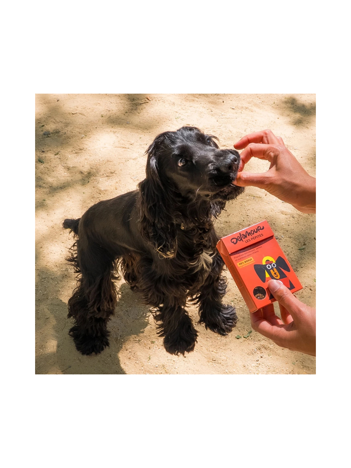 Les Pépites Air-Dried Beef Snacks