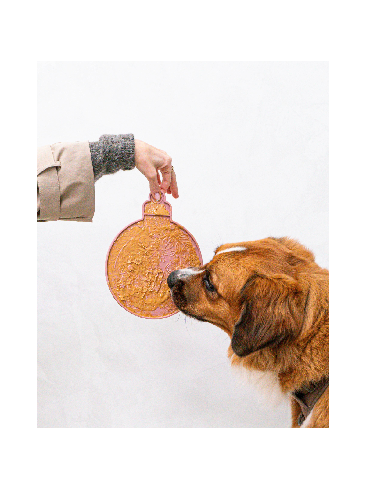 2 Piece Ornament Lick Mat & Spatula Set