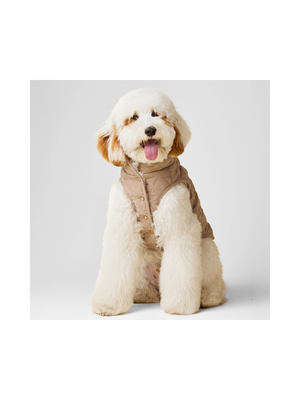 Fawn Sherpa-Lined Reversible Dog Jacket