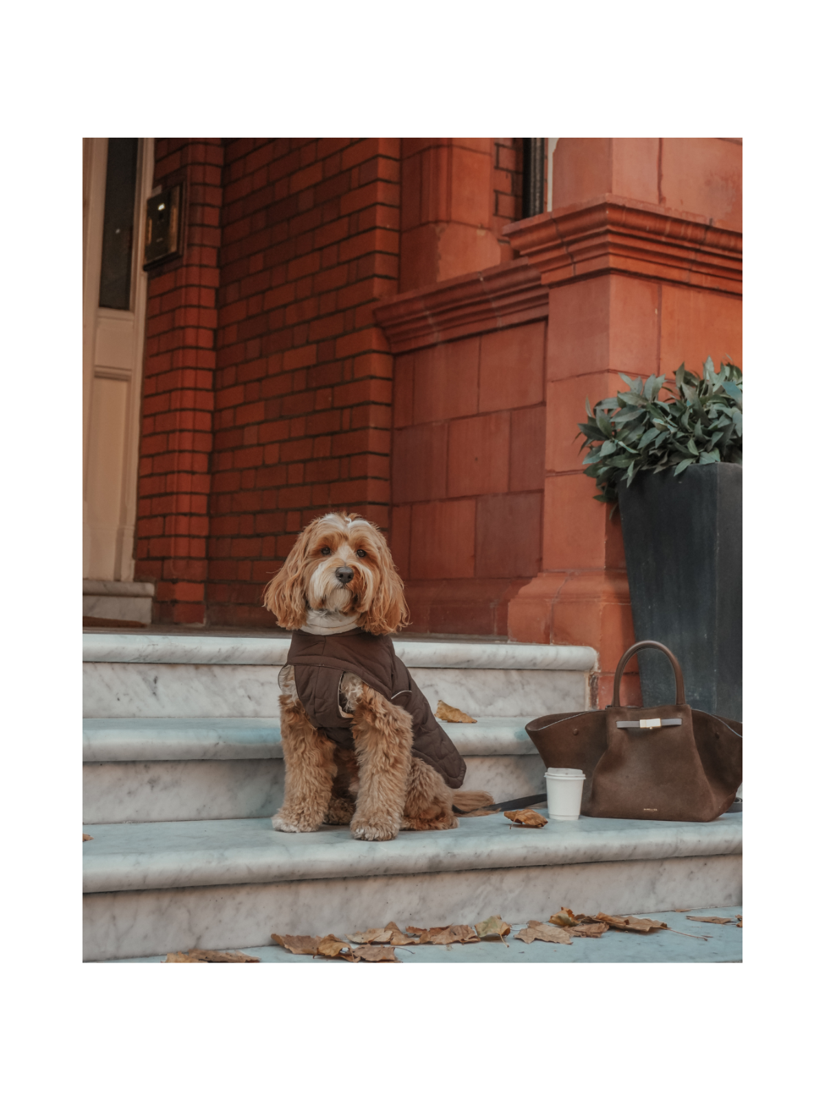 The Capsule Quilted Dog Coat – Chocolate