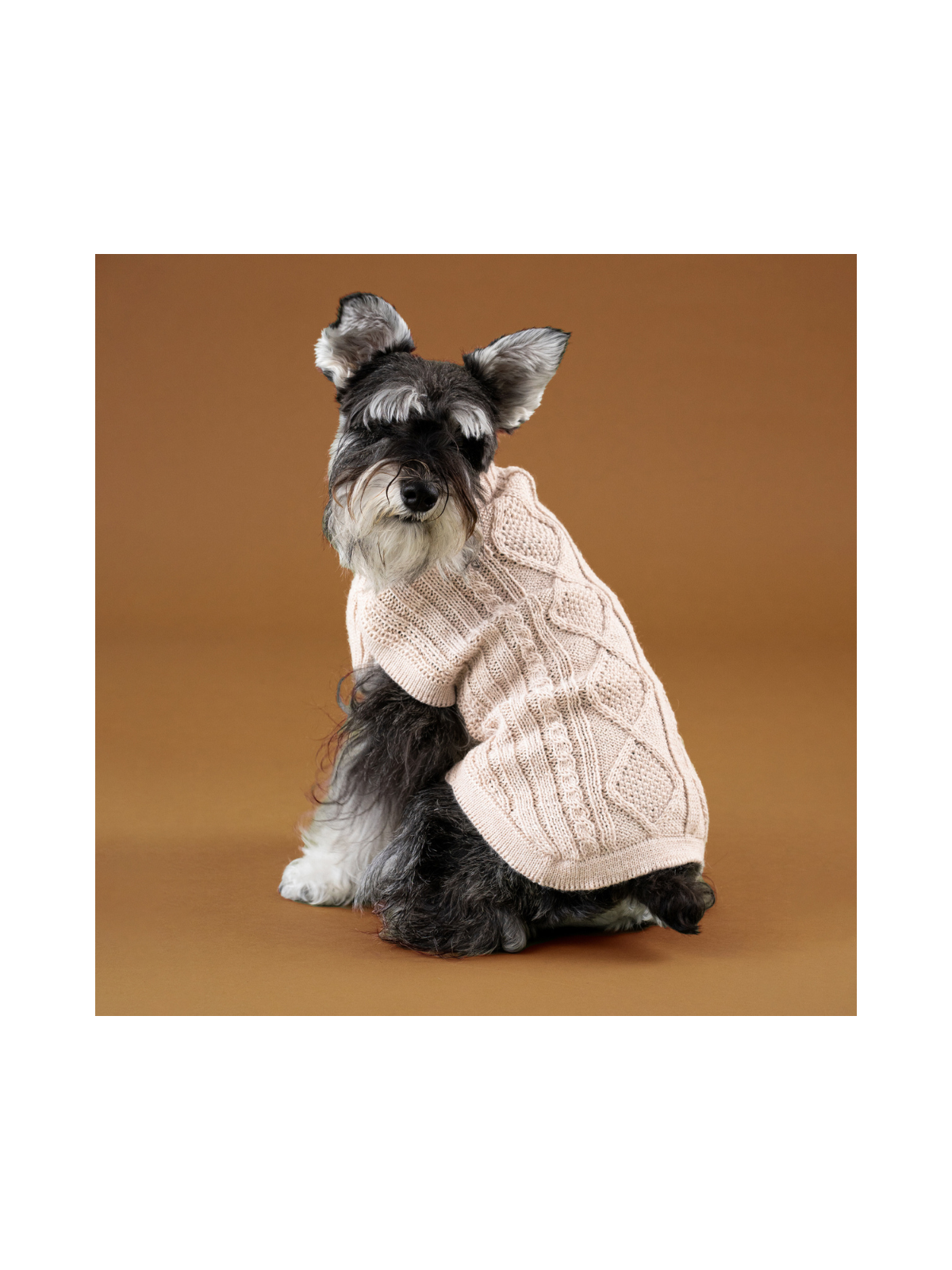 Aran Knit Alpaca Dog Sweater – Ivory