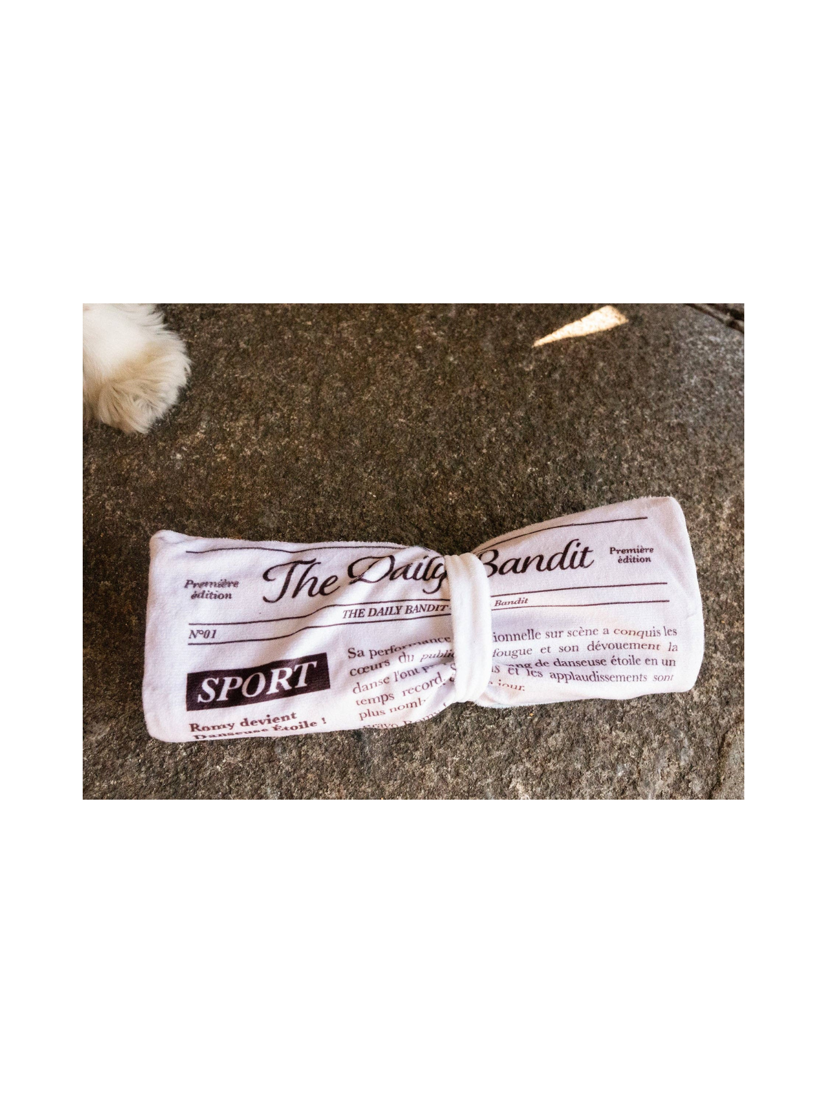 Newspaper Snuffle Toy