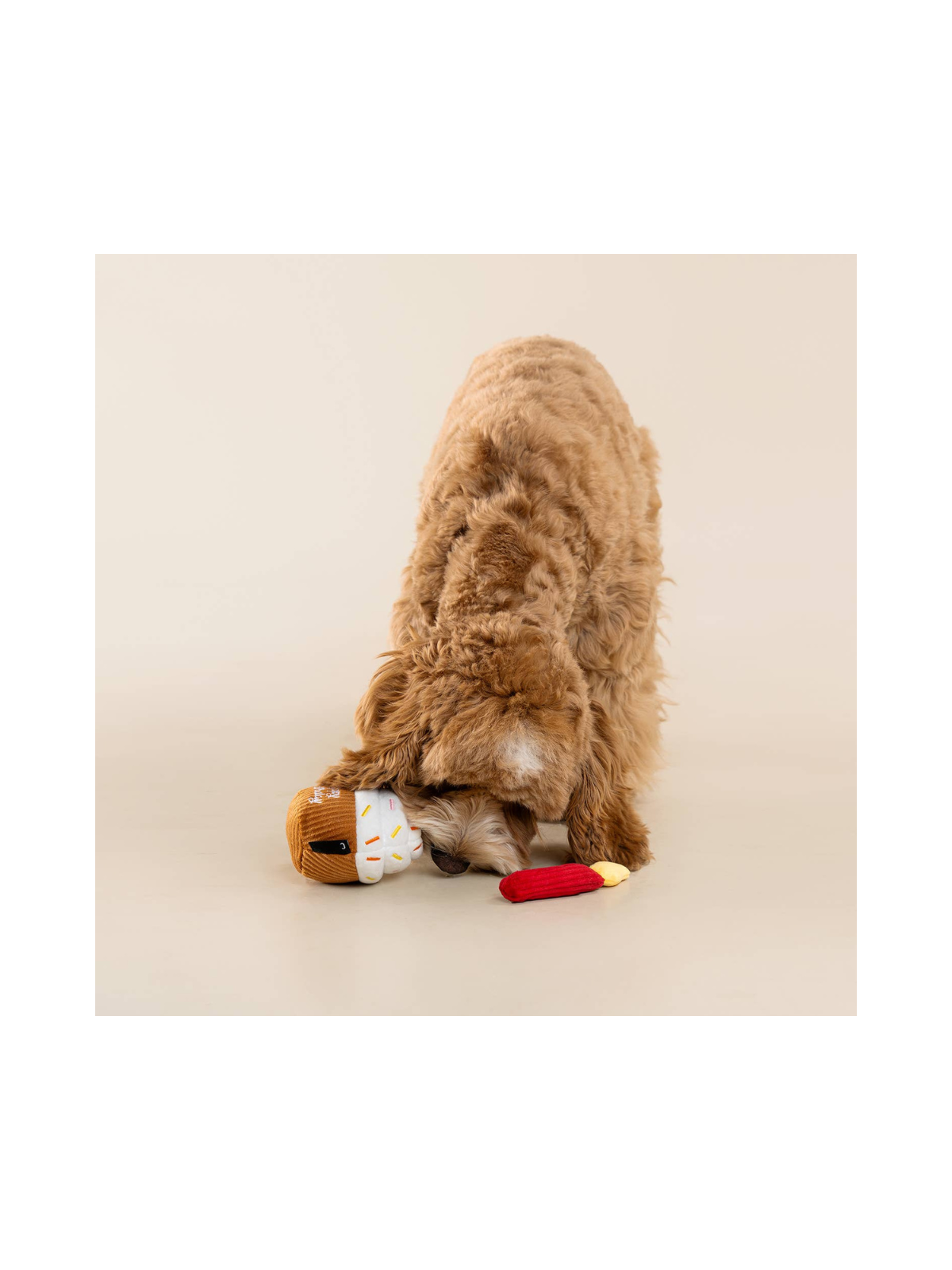 Cupcake Interactive Birthday Toy