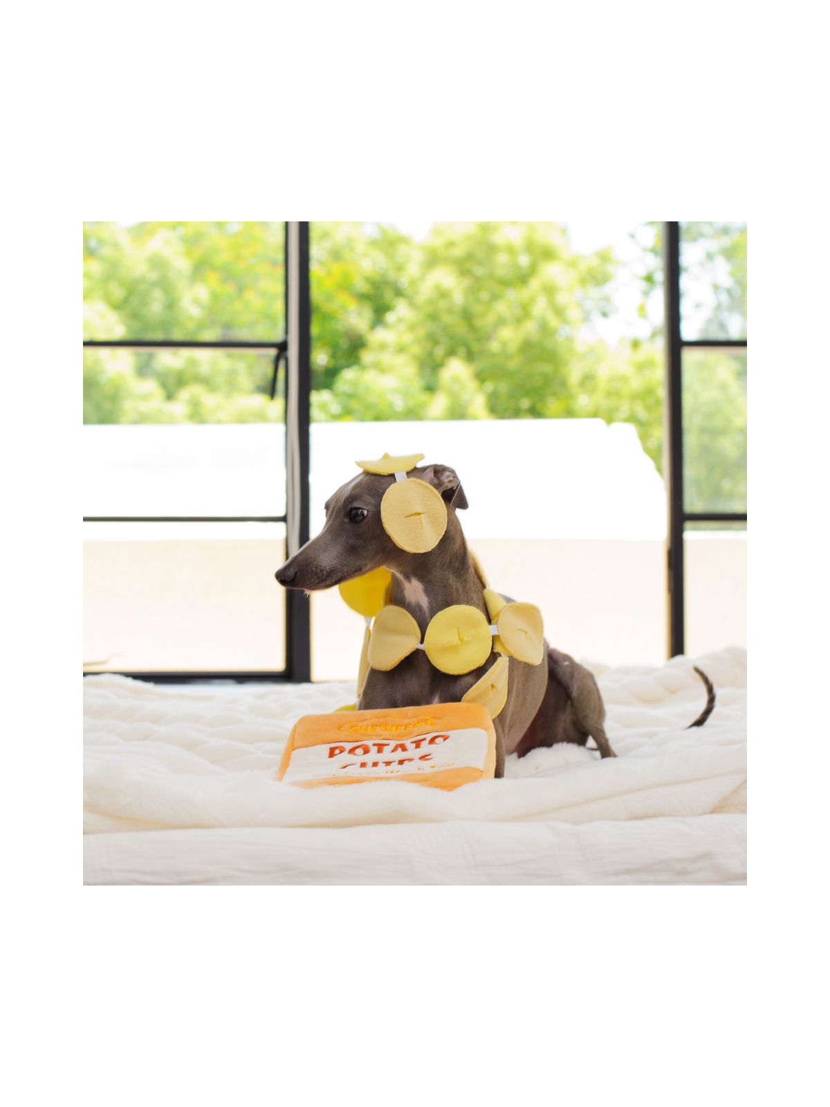 Rustle Potato Chips Dog Snuffle Toy