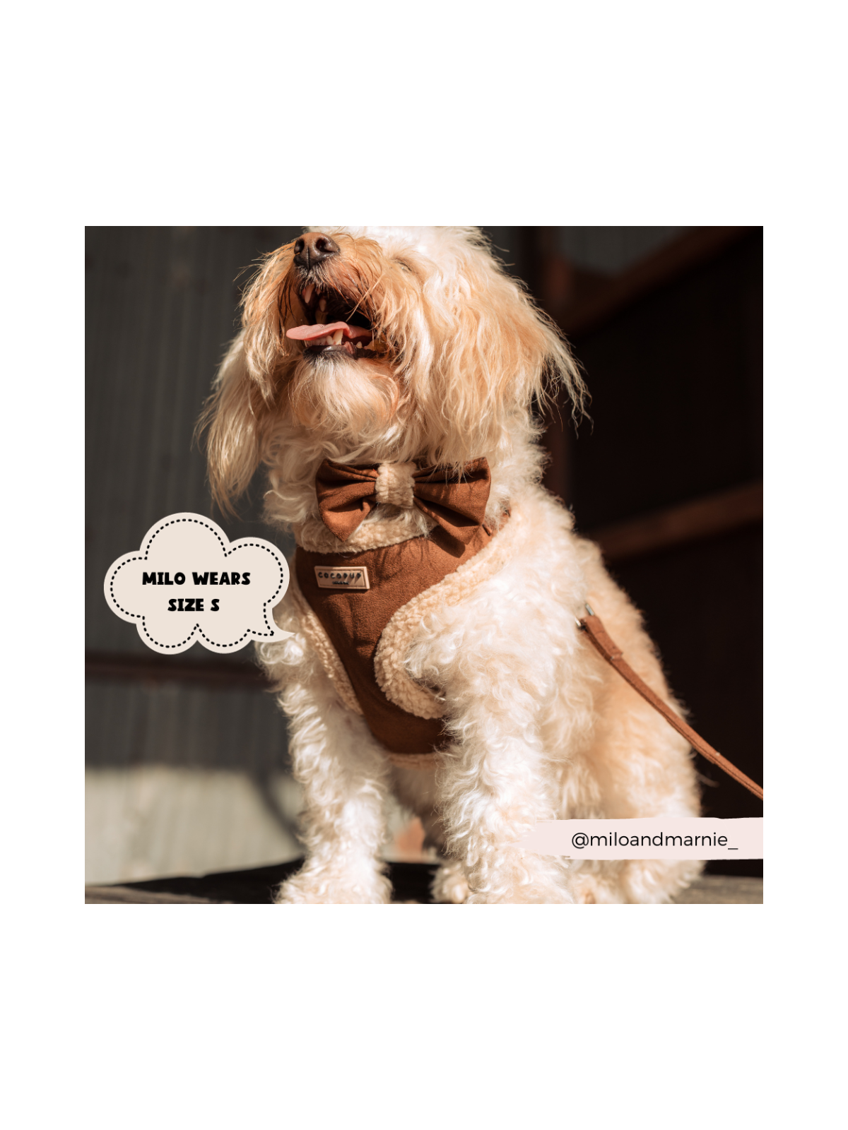 Brown Aviator Adjustable Neck Harness – Faux Suede with Fluffy Trim