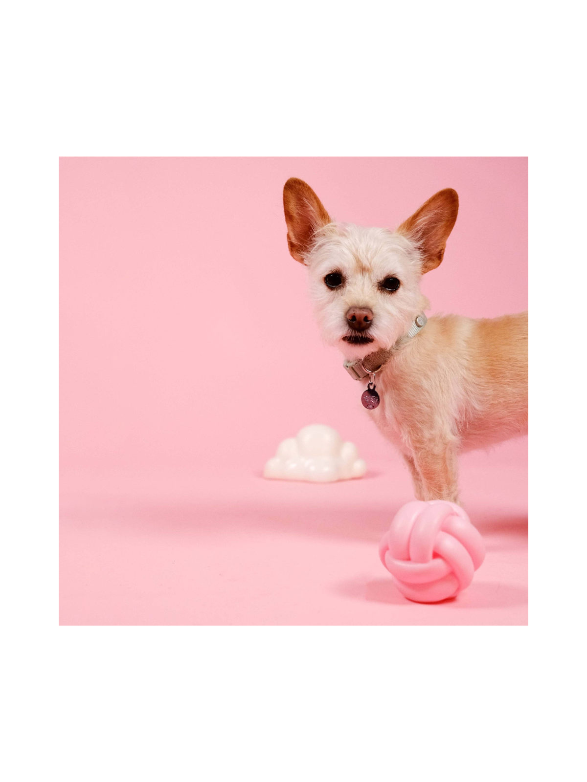 Cloud Shaped Squeaky Dog Toy