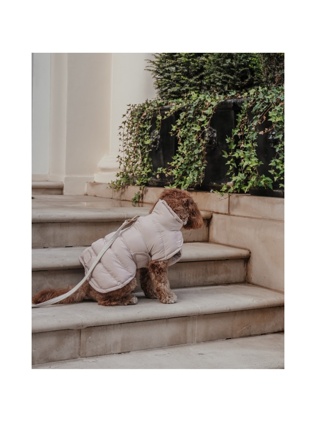 The Capsule Puffer Dog Coat – Hazelnut