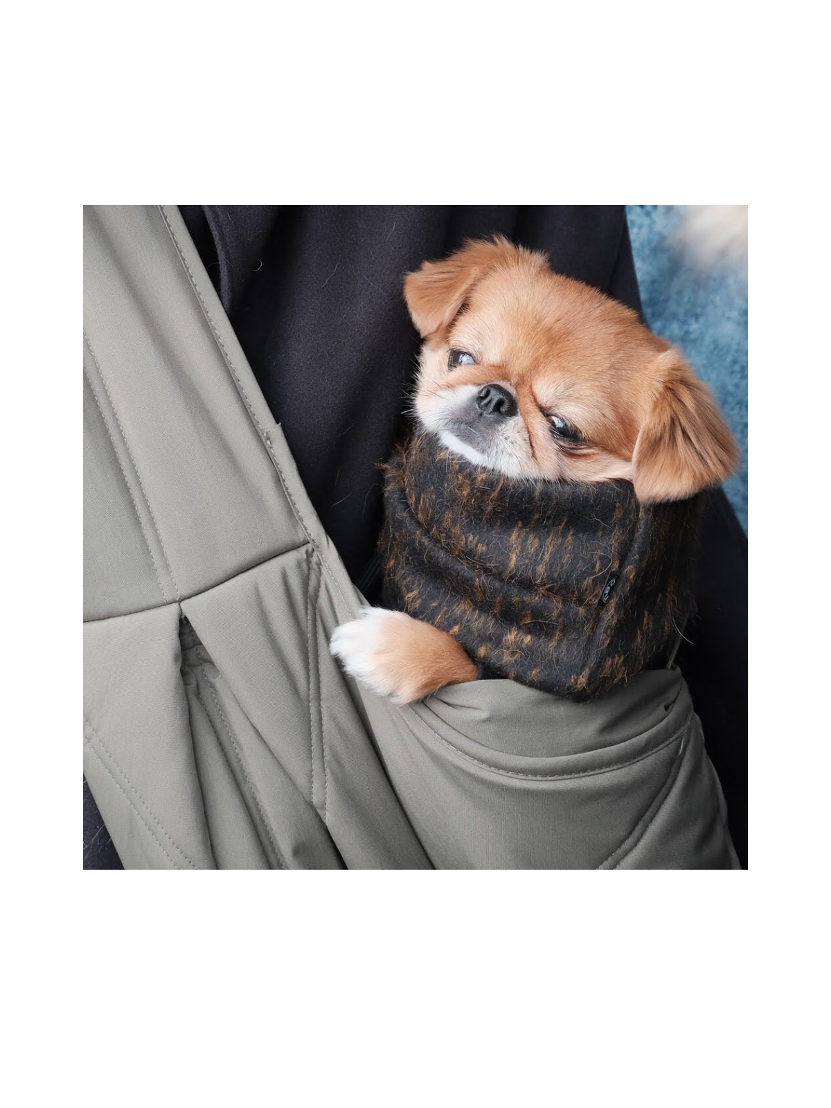 OLLA Petite Pet Carrycot – Fern