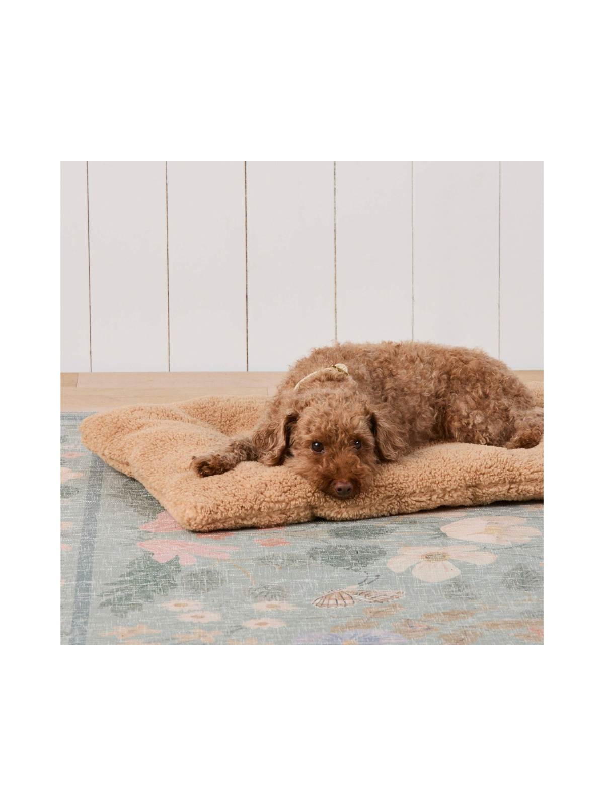 Latte Recycled Sherpa Dog Travel Mat