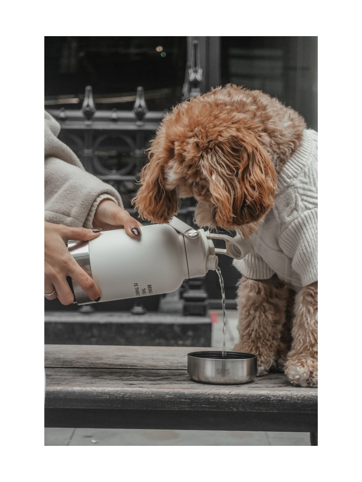 The 3-in-1 Bowl Bottle – Marshmallow