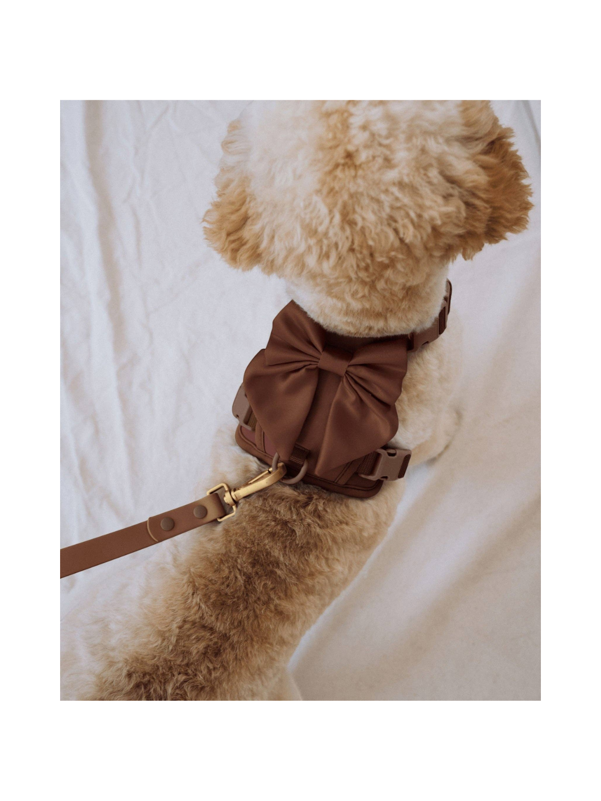 Wander! Bow Harness 2.0 – Cocoa