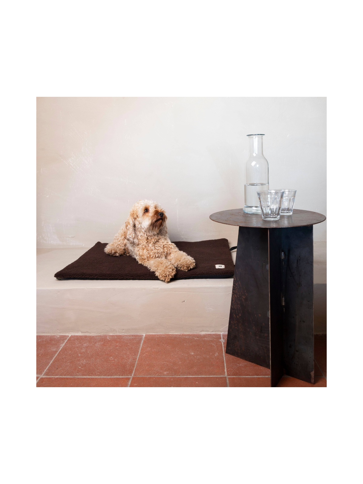 Teddy Travel Blanket – Chocolate