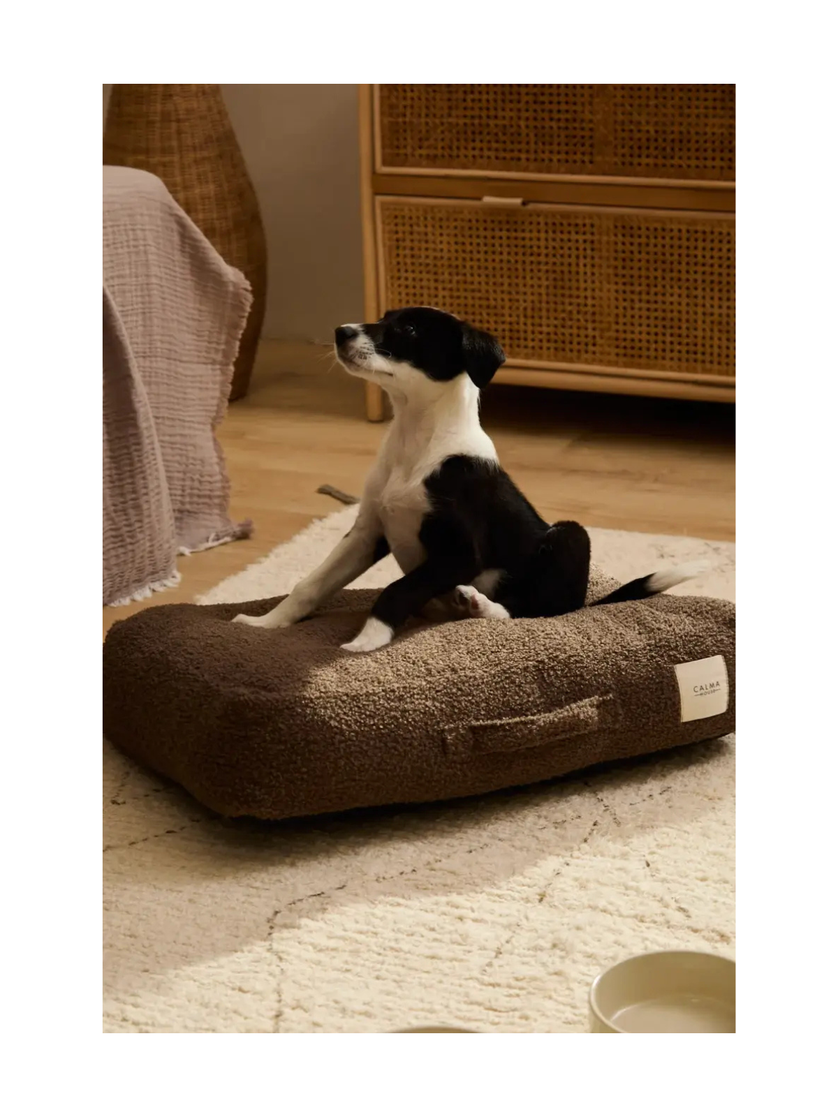 Taico Teddy Dog Cushion – Brown