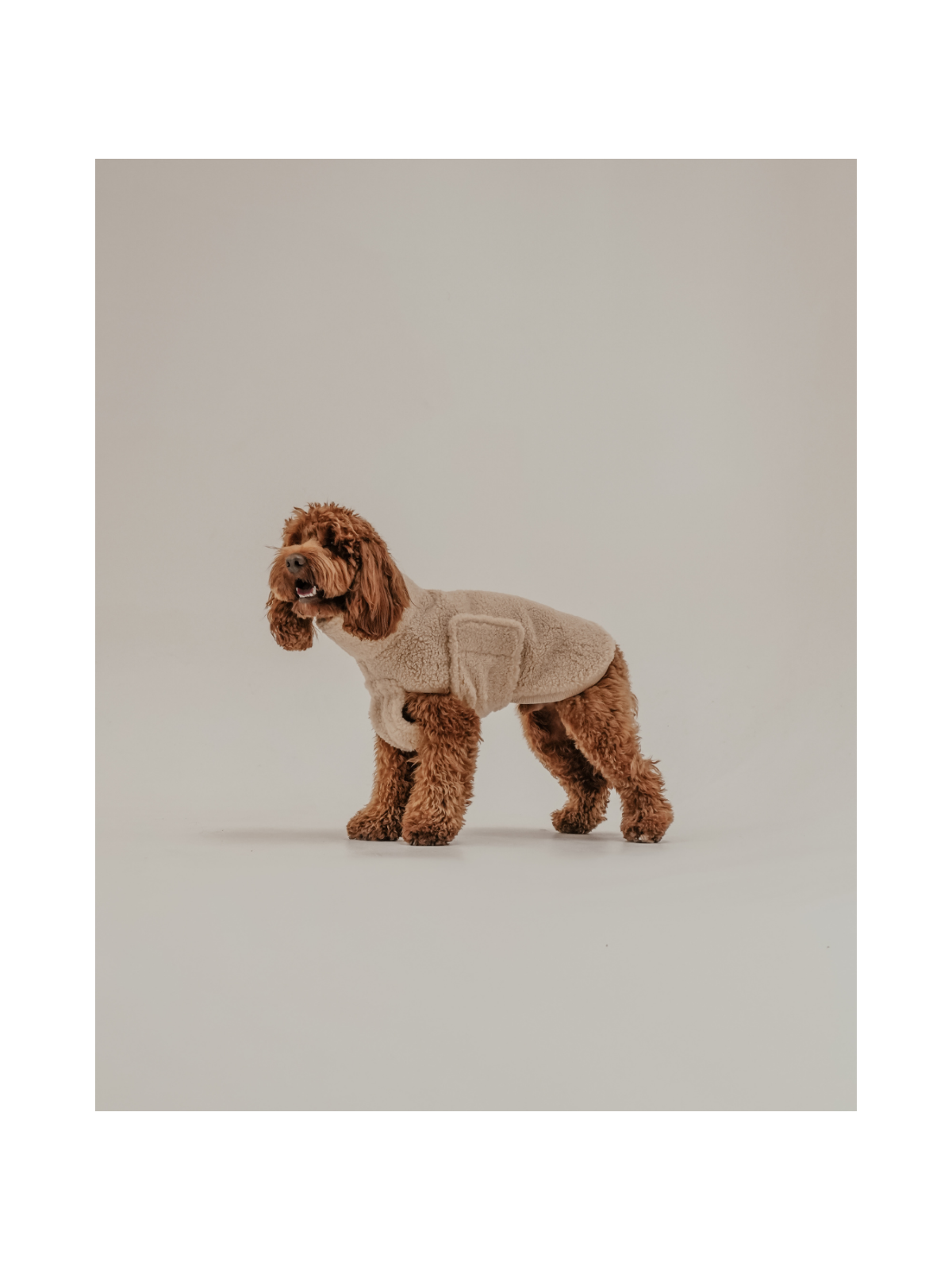 The Capsule Cosy Dog Coat