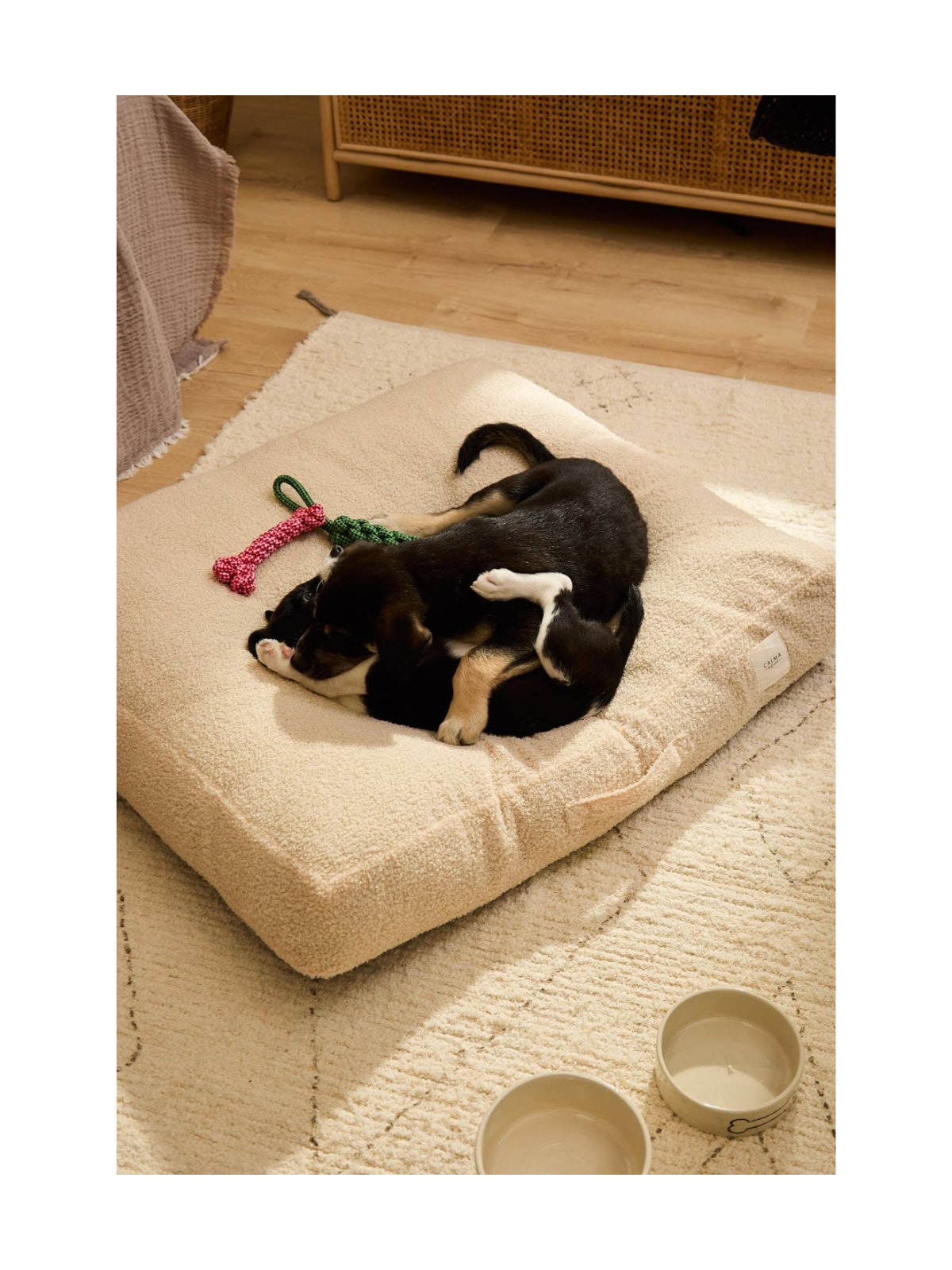 Taico Teddy Dog Cushion – Beige