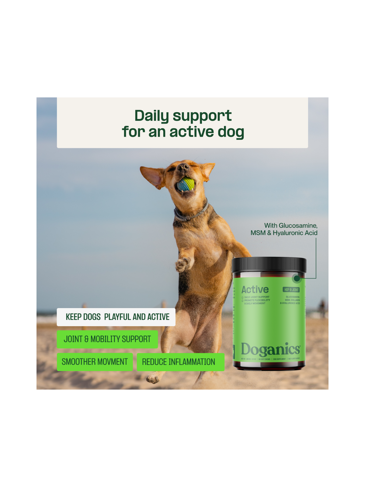 Active Hip & Joint Soft Chews